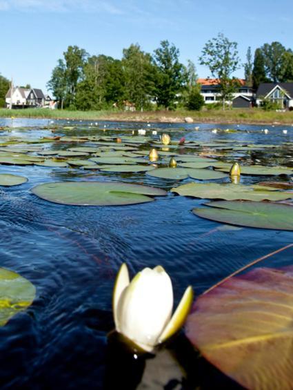 Ekebacken Hotell & Konferens Markaryd Bagian luar foto