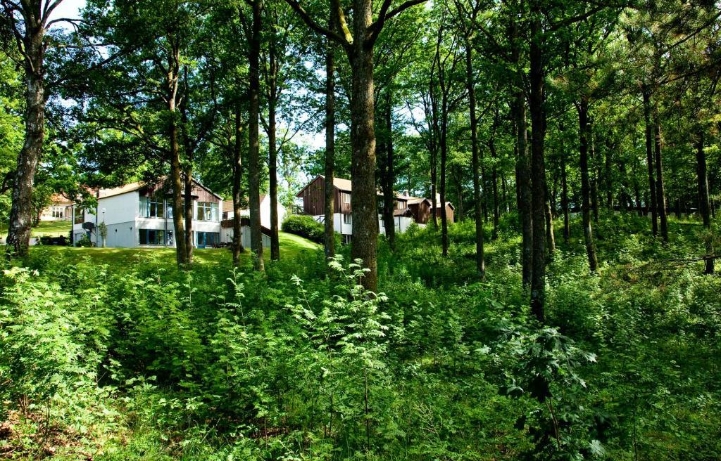 Ekebacken Hotell & Konferens Markaryd Bagian luar foto